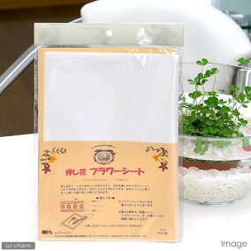楽天市場 押し花用アクセサリー 人気ランキング1位 売れ筋商品 楽天市場 押し花用アクセサリー 人気ランキング1位 売れ筋商品